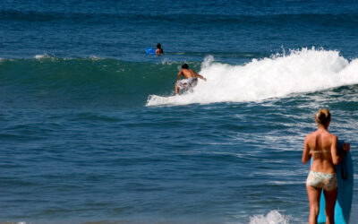 Tom’s Tips – Maui Surf Lessons