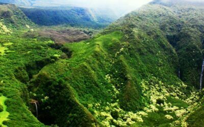 Hawaii’s Agriculture