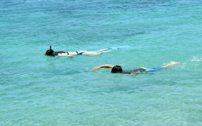 Big Island Beaches Mauna Lani and Makaiwa Bay