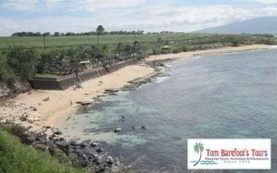 Hookipa Beach Park (Maui, Hawaii)