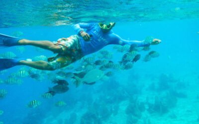 Beach vs Boat Snorkeling Advantages and Disadvantages