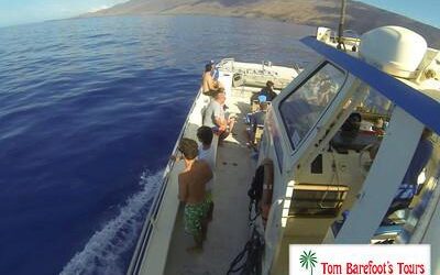 Travel Blog #151 – Maui Magic Molokini/Whale Watch