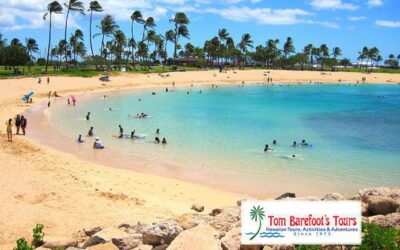 Oahu Beach Guide