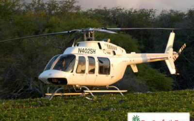 Are there certain regions of the Big Island where helicopter tours are less expensive?