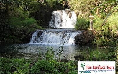 Travel Blog #72 – ATV’s In The Mud With Kauai ATV