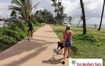 Travel Blog #89 – Dog Walking on the Kealia Bike Path