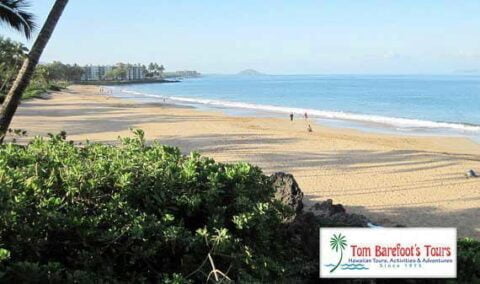 Charlie Young Beach - Tom Barefoot