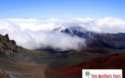 Horseback riding tours into Haleakala Crater?