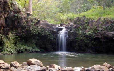 Are there any Big Island hike tours that can be taken on the Kona side of the island?