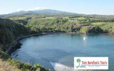 Honolua Bay (Maui, Hawaii)