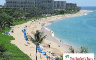 Kaanapali Beach (Black Rock)