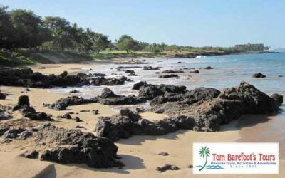 Kamaole Beach Park #3