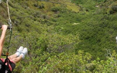 Kapalua Zipline
