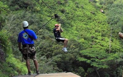 How to Pick your Maui Zipline Tour – Tom Barefoot’s Tours