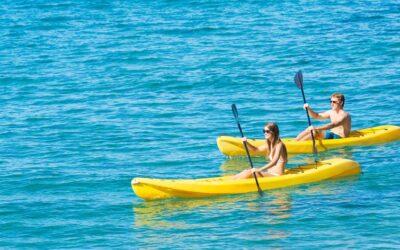 Travel Blog #139 – Kayak Sea Cave Adventure With Ocean Safari Kayaks