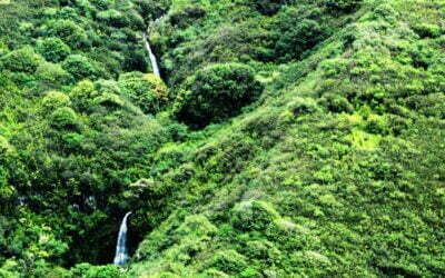45 minute Hana/Crater Helicopter Flight