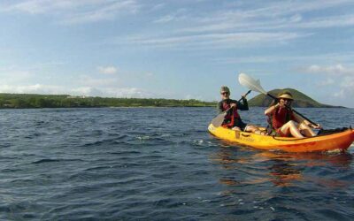 The Hawaii Knowledge Deficit