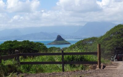 If you are a beginner, can you still ride an ATV on Oahu?