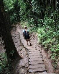 Travel Blog #157 – Manoa Falls Hike with Oahu Nature Tours