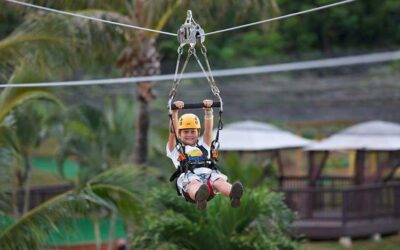 Traditional Maui Zipline or a Tree-Top? Tom Barefoot’s Tours