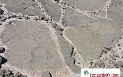 Fairmont Orchid and Holoholokai Beach