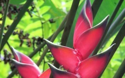 Enriching Travel Experiences