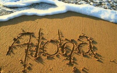 The 80’s and 90’s