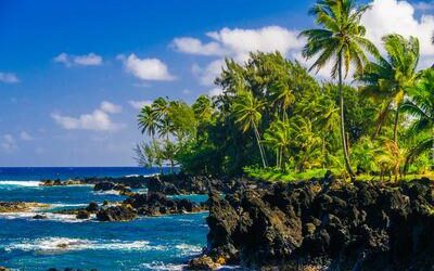 The Spectacular Weather Conditions in Hawaii are in Large Part Due to Our Consistent Trade Winds.