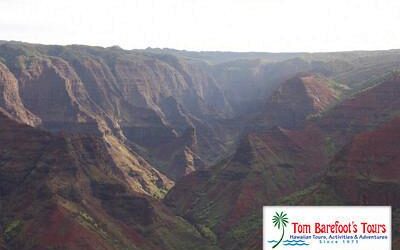 Travel Blog #88 – Waimea Canyon Bike Ride with Outfitters Kauai