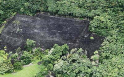 Why should you consider a ‘Doors Off’ helicopter flight?