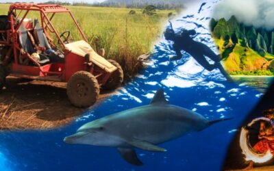 What are the 10 most popular categories of Kauai Activities and Kauai Tours on the island?
