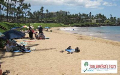 Ulua Beach (In the heart of Wailea)