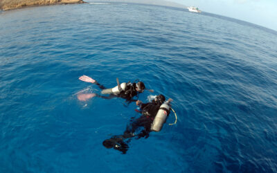 Tom’s Tips – Maui Scuba Diving